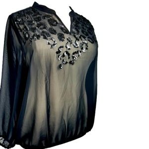 Lane Bryant Black Sheer Blouse, Size 2X